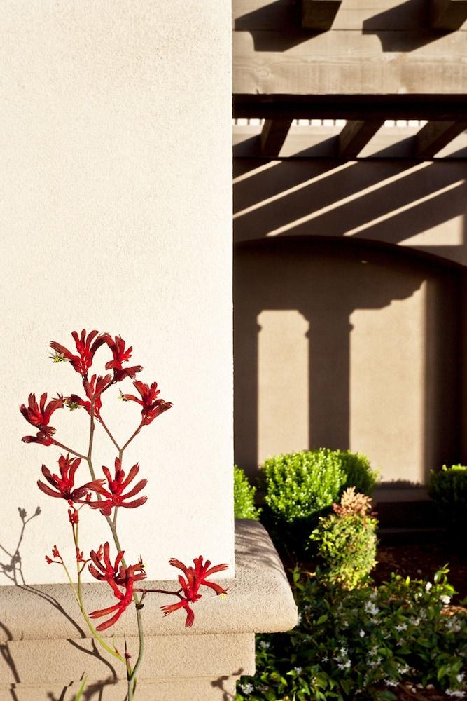 Hampton Inn&Suites Arroyo Grande Exterior foto